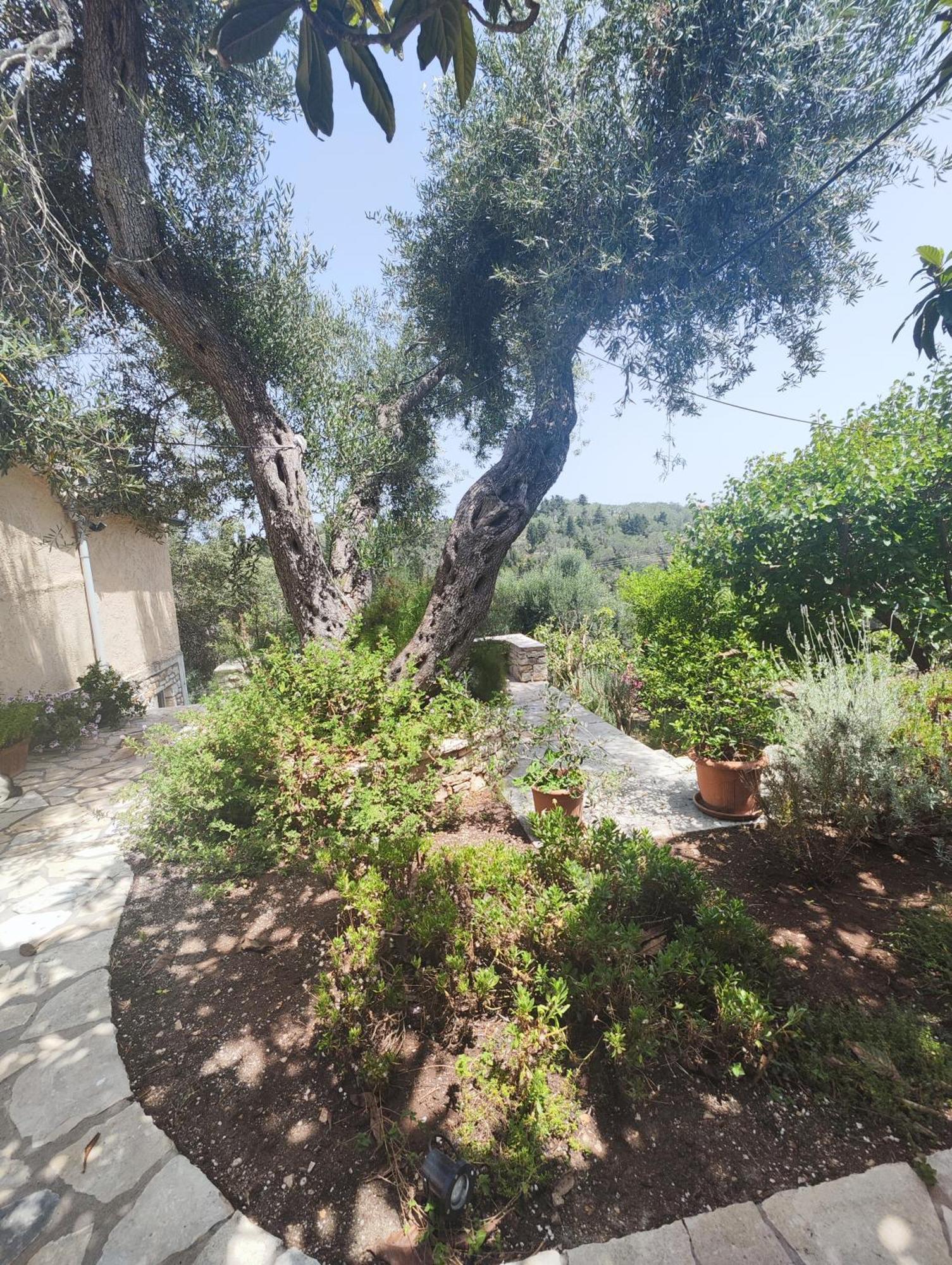 Rania'S Cottage Láka Kültér fotó